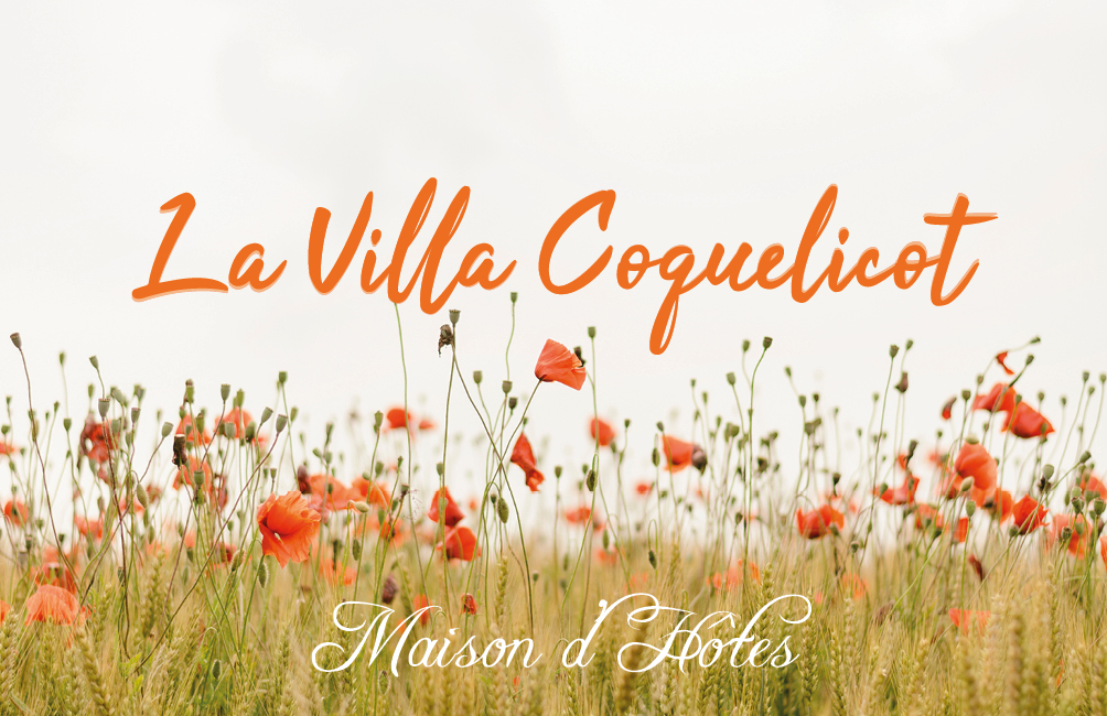 Création carte de visite La Villa Coquelicot